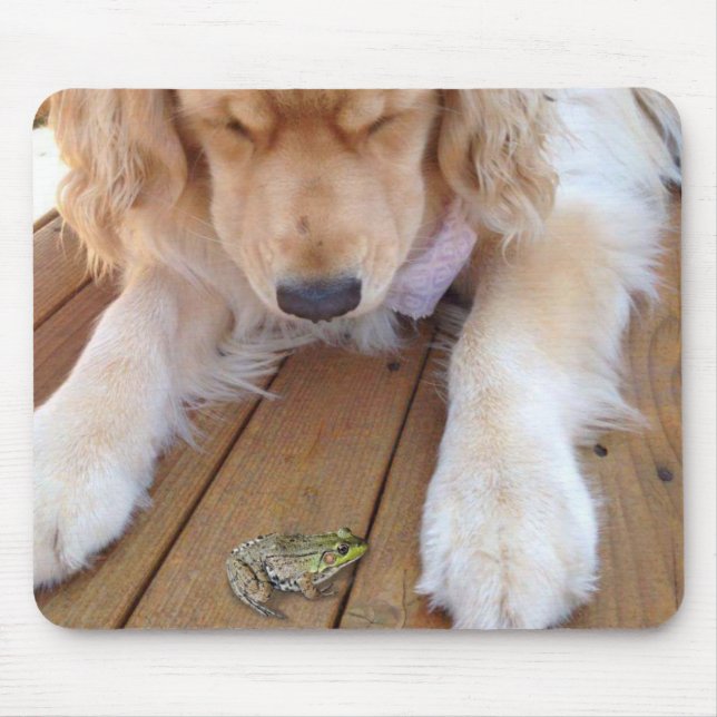 Mousepad Retriever de ouro Olhando para um Sapo (Frente)