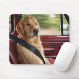 Mousepad Retriever Dourado Usando Cinto de Segurança