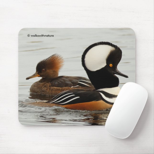 Mousepad Reunião dos Patos Merganso Hooded (Com mouse)