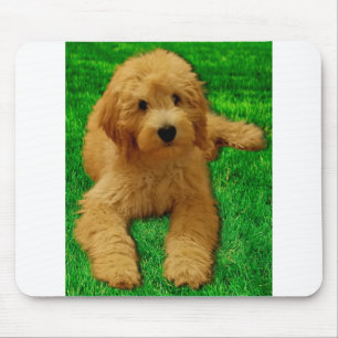 Mousepad Rex The Goldendoodle