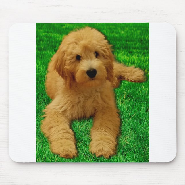 Mousepad Rex The Goldendoodle (Frente)