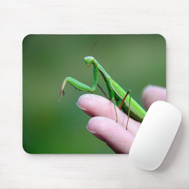 Mousepad Rezando Mantis Em Uma Mão (Com mouse)
