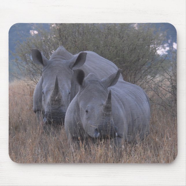 Mousepad Rhinos brancos (Frente)