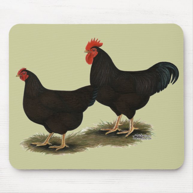 Mousepad Rhode Island Red Bantams (Frente)