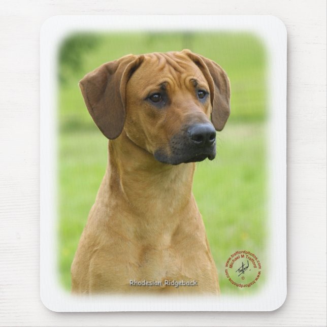 Mousepad Rhodesian Ridgeback (Frente)