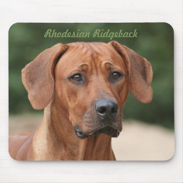 Mousepad Rhodesian Ridgeback Muismat (Frente)