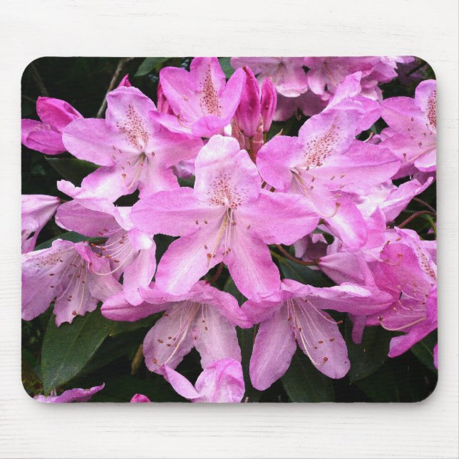 Mousepad Rhododendrons III (Frente)