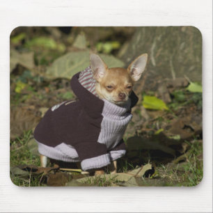 Mousepad Rico Chihuahua