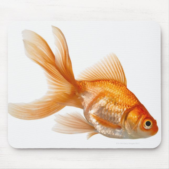 Mousepad Rico Goldfish (Frente)