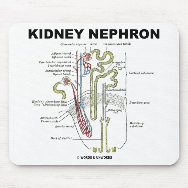 Mousepad Rim Nephron (Frente)