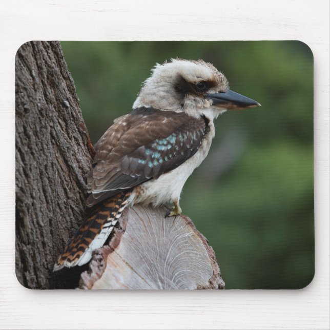 Mousepad Rindo Kookaburra (Frente)