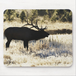 Mousepad Rio de Madison, Yellowstone NP, Wyoming, EUA