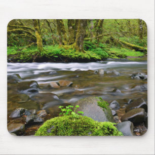Mousepad Rio em Floresta Verde, Oregon
