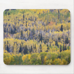Mousepad Rio Provo e árvores de álamo