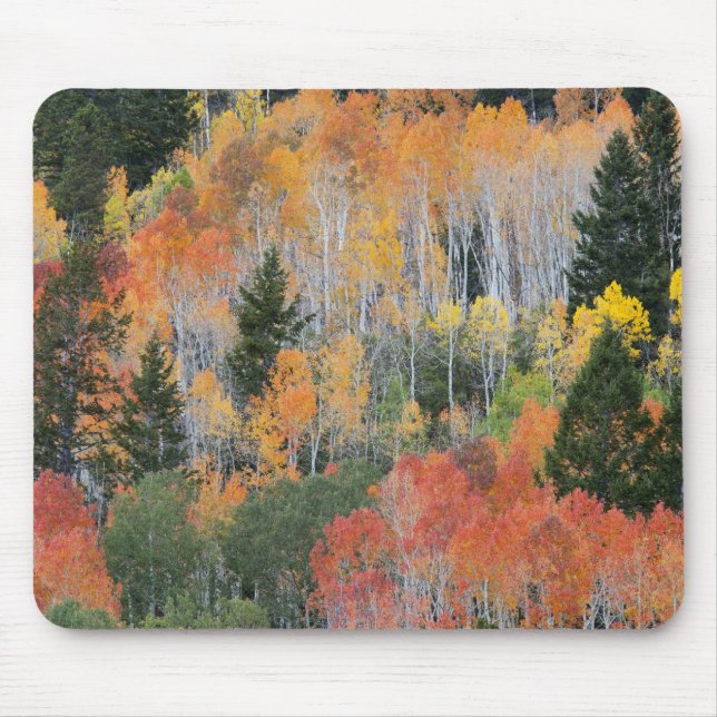 Mousepad Rio Provo e árvores de álamo (Frente)