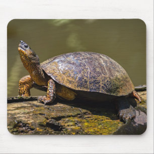 Mousepad Rio Turtle em Tortuguero - Costa Rica