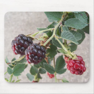 Mousepad Ripe Blackberry