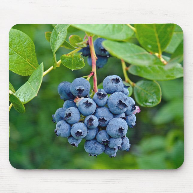 Mousepad Ripe do mouse Blueberry Bush (Frente)