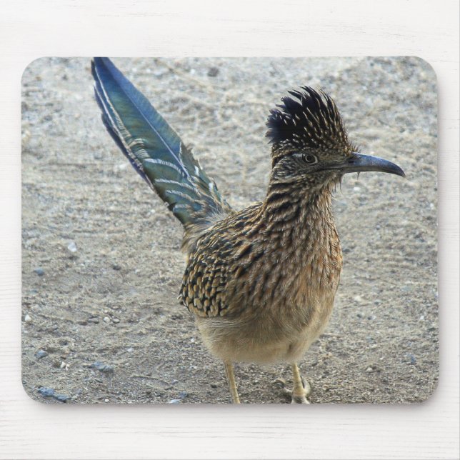 Mousepad Roadrunner (Frente)