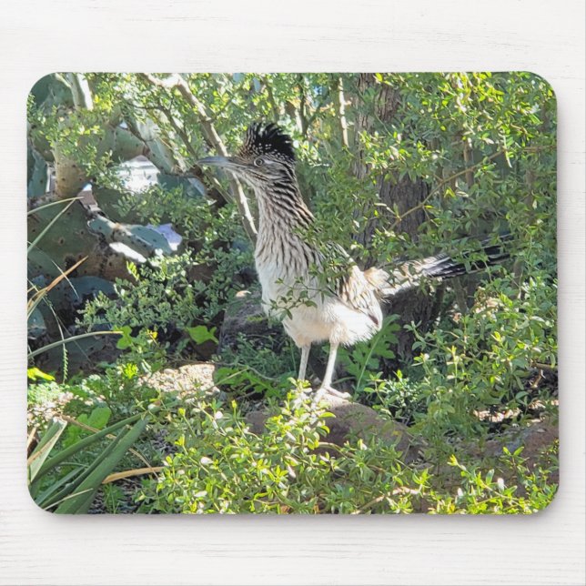 Mousepad Roadrunner Americano no Deserto da Arizona (Frente)