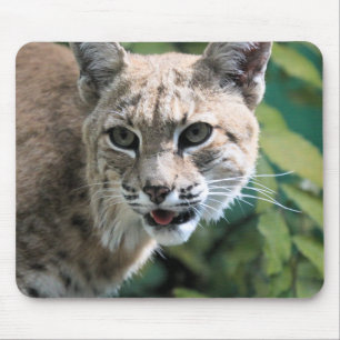 Mousepad Robert J.Bobcat