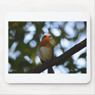 Mousepad Robin