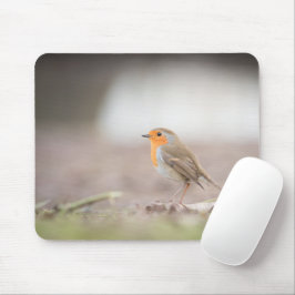 Mousepad Robin Bird Nature Foto