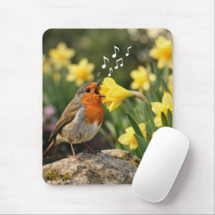 Mousepad Robin Cantando em um Narciso de Primavera