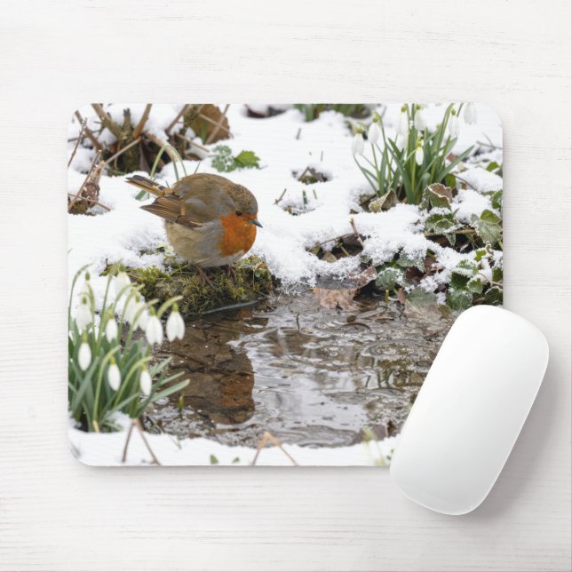 Mousepad Robin contemplando seu reflexo na poça (Com mouse)