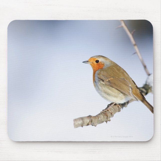 Mousepad Robin empoleirado em um galho no inverno (Frente)