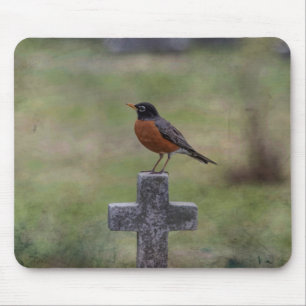 Mousepad Robin numa cruz