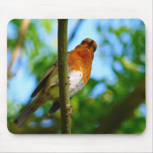 MOUSEPAD ROBINS