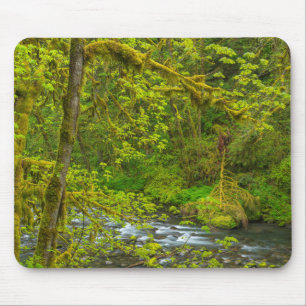 Mousepad Rochas Musgosas E Árvores Liniam Eagle Creek