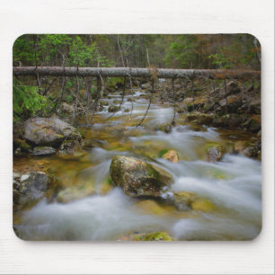 Mousepad rochoso da angra da floresta