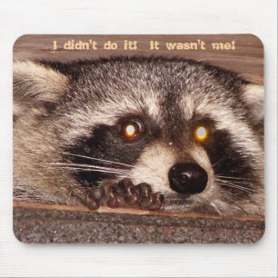 Mousepad Rochoso, eu não o fiz! Não era mim!