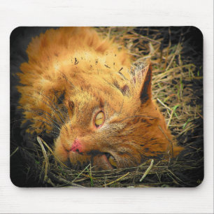 Mousepad Rolo no feno