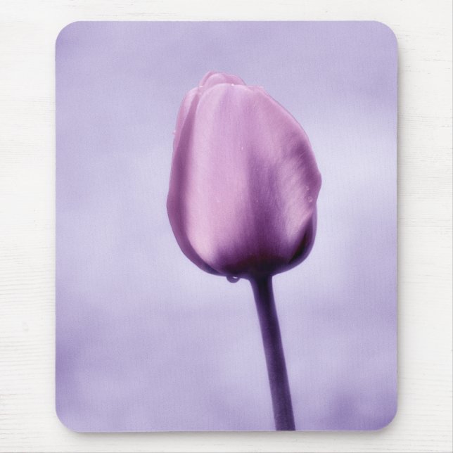 Mousepad Romance roxo da tulipa da lavanda (Frente)
