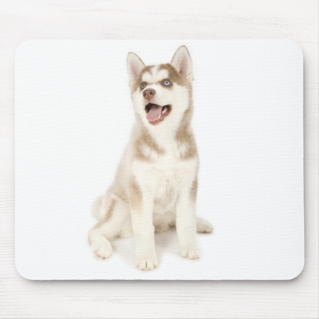 Mousepad ronco (Frente)