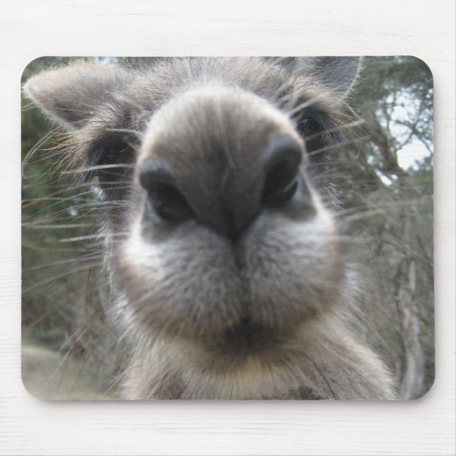 Mousepad Roo Bob (Frente)