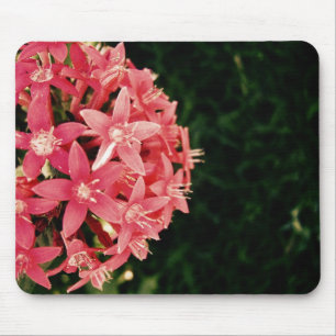 Mousepad Rosa