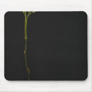 Mousepad Rosa 3 do rosa