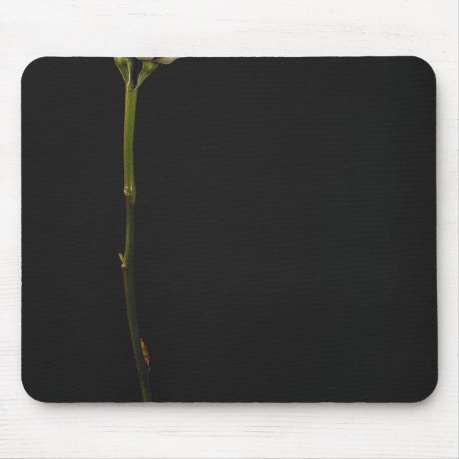 Mousepad Rosa 3 do rosa (Frente)