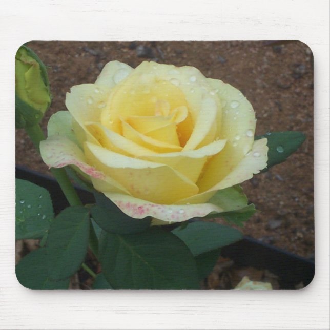 Mousepad Rosa Amarela (Frente)