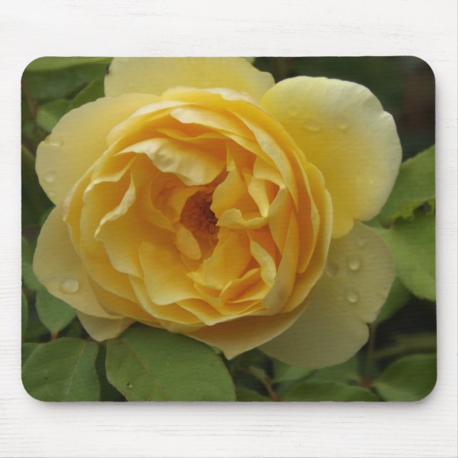 Mousepad Rosa Amarela (Frente)