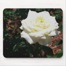 Mousepad Rosa Amarela Pálida