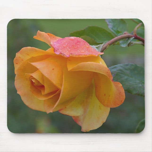 Mousepad Rosa amarelo (Frente)
