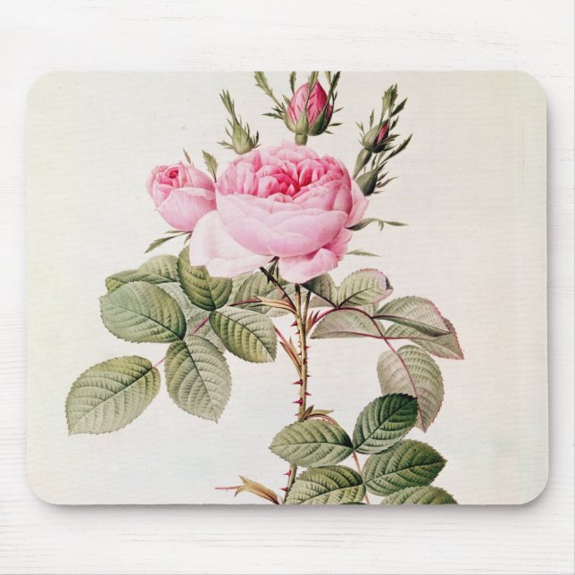 Mousepad Rosa Bifera Officinalis, 'dos rosas de Les (Frente)