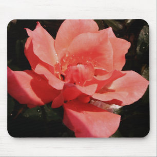Mousepad Rosa bonito do rosa do pêssego floral