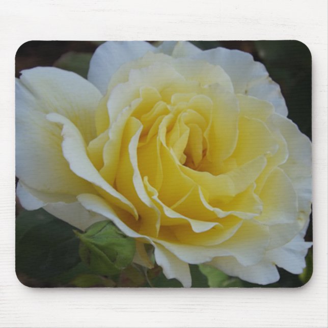 Mousepad Rosa branca (Frente)