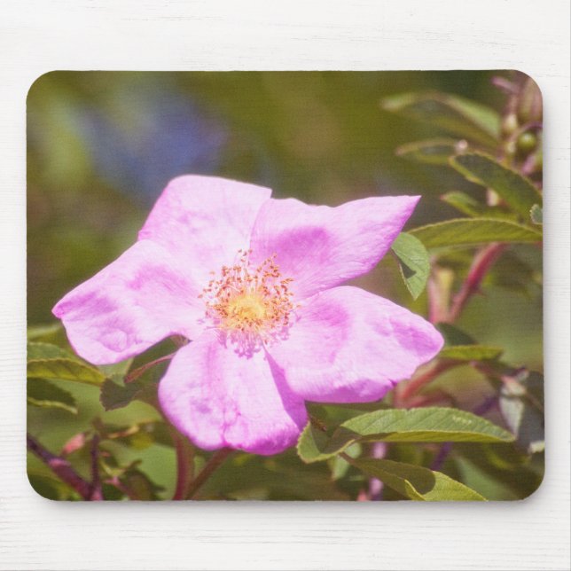 Mousepad Rosa Briar (Frente)
